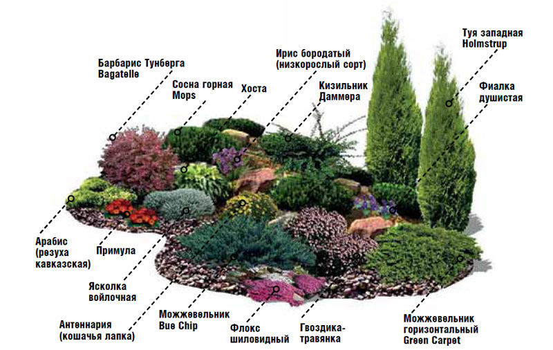 Все о саде и ландшафтном дизайне